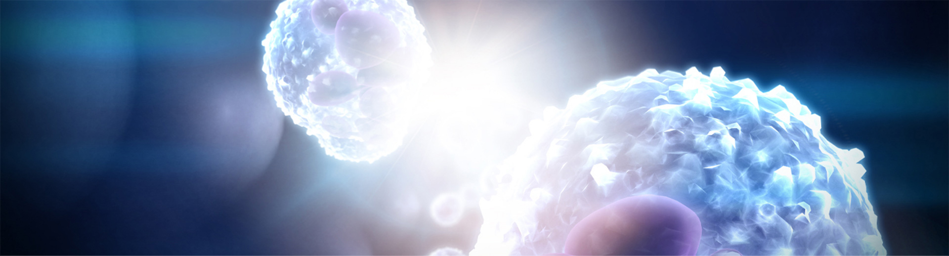 Therakos Ecp Immunomodulation